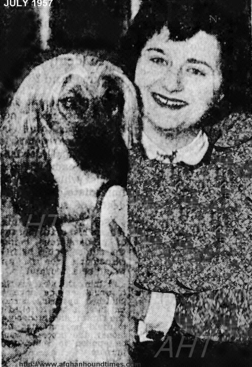 http://www/afghanhoundtimes.com PHOTO ARTICLE Mrs. James Abbott Australia wit Khorrassan Horningsea Tarbouka 1957