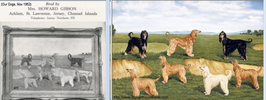 http://www.afghanhoundtimes.com PAINTING Acklam Afghan Hound HEIGHT=
