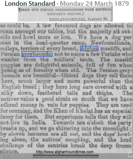http://www.afghanhoundtimes.com Report on Native hounds in Afghanistan 1879