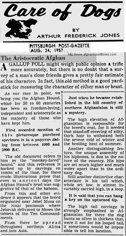 http://www.afghanhoundtimes.com Arthur Frederick Jones AKC Gazette 1937