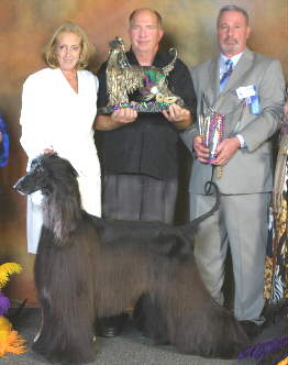 Afghan Hound Times - Natl Spclty Winner 2006 Ch Elan Sebring The Matrix