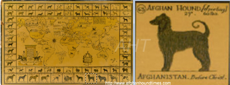 Afghan Hound Times - DOG MAP OF THE WORLD 1933 by Joseph P. Sims (1933)
