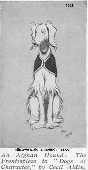 http://www.afghanhoundtimes.com Afghan Hound Illustration by Cecil Aldrin, 1927