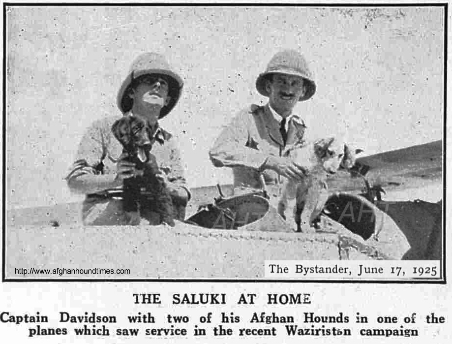 Afghan Hound Times The Land Of The Afghan Hound by Mary Amps 1930, Captain Davidson and two of his Afghan Hounds