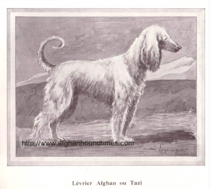 Andre Lagarrigue Afghan Hound Watercolour 1934