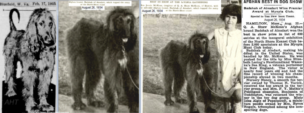 http://www.afghanhoundtimes.com PHOTOS BADSHAH OF AINSDART 1934 1935