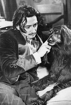 http://www.afghanhoundtimes.com PHOTO John Barrymore's Afghan hound Viola