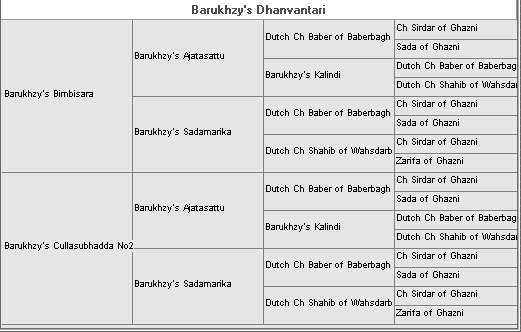 Litter 11 (Barukhzy's Bimbisara x Barukhzy's Cullasubhadda (No 2)