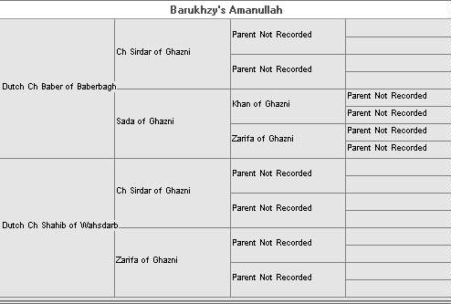 Litter 2 (Baber Of Baberbagh x Shahib of Wahsdarb
