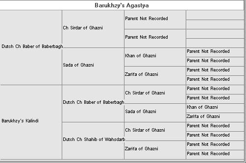 Litter 5 (Baber Of Baberbagh x Shahib of Wahsdarb)