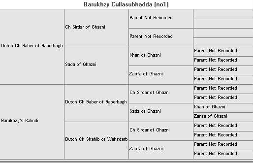 Litter 8 (Baber Of Baberbagh x Barukhzy's Kalindi)