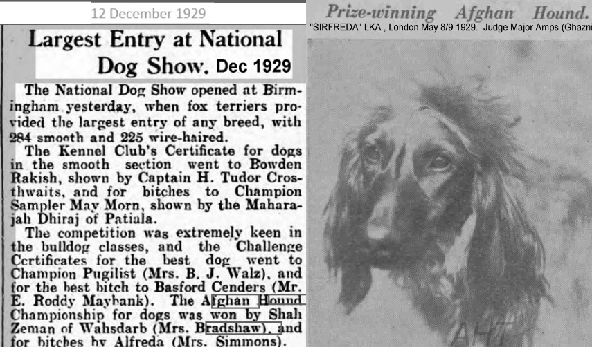 http://www.afghanhoundtimes.com Bericote, Miss Simmons, show news 1929