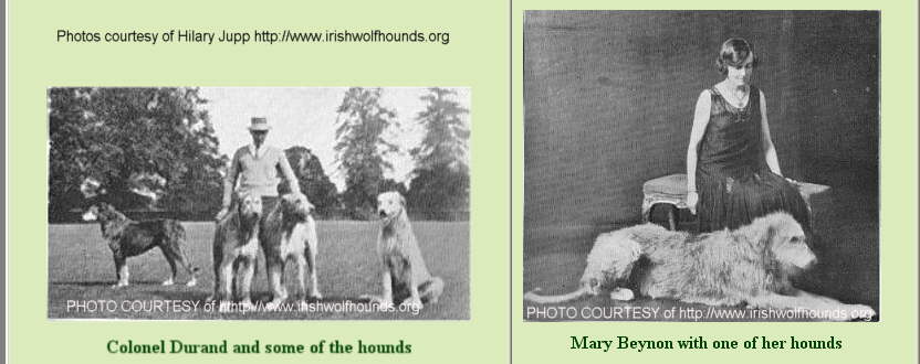 http://www.afghanhoundtimes.com Photo Mrs Beynon, Col H M Durand, Bourneside Irish Wolfhounds