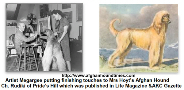 http://www.afghanhoundtimes.com  Arrtist Megargee putting finishing touches to Mrs Hoyts Afghan Hound Ch. Rudiki of Prides Hill