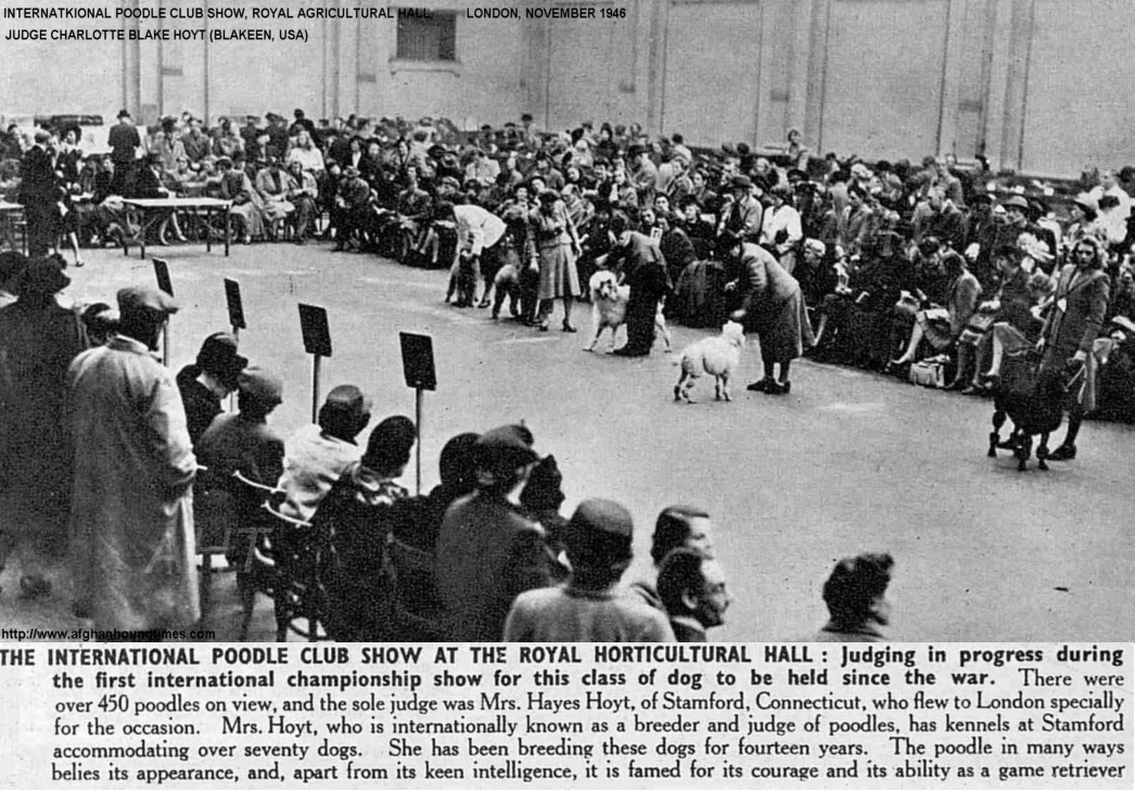 http://www.afghanhoundtimes.comMrs Blake Hoyt Judging Poodles, London, November 1946