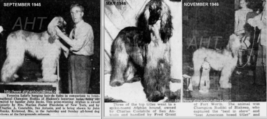 http://www.afghanhoundtimes.com Rudika  Of Blakeen945, 1946
 
