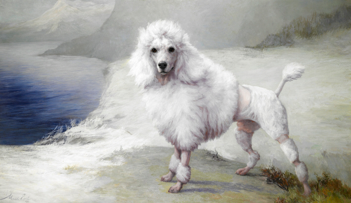 http://www.afghanhoundtimes.com Maud Earl painting of Hoyt's White Poodle CH Nunsoe Duc de la Terace