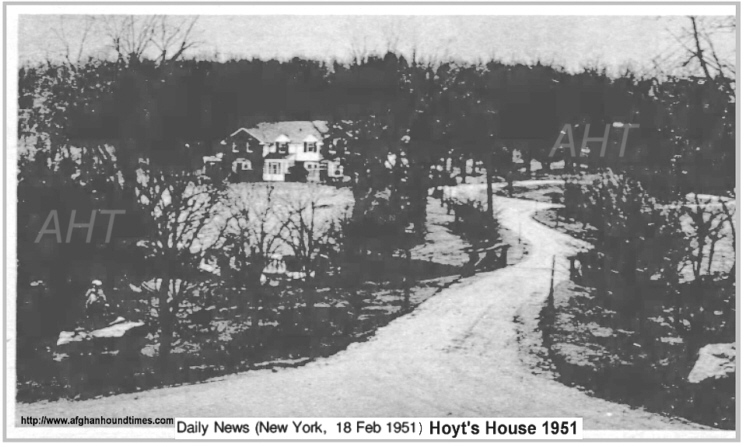 http://www.afghanhoundtimes.com PHOTO Mr Mrs Hoyts house 1951