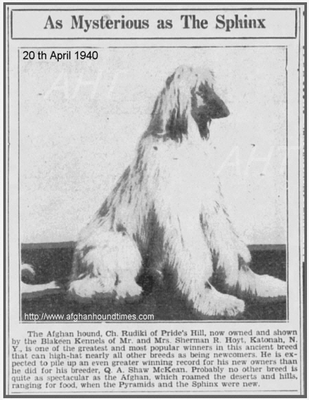http://www.afghanhoundtimes.com CH Rudiki of Prides Hill owned by  Mr Mrs Hoyt's (Blakeen) in 1940 