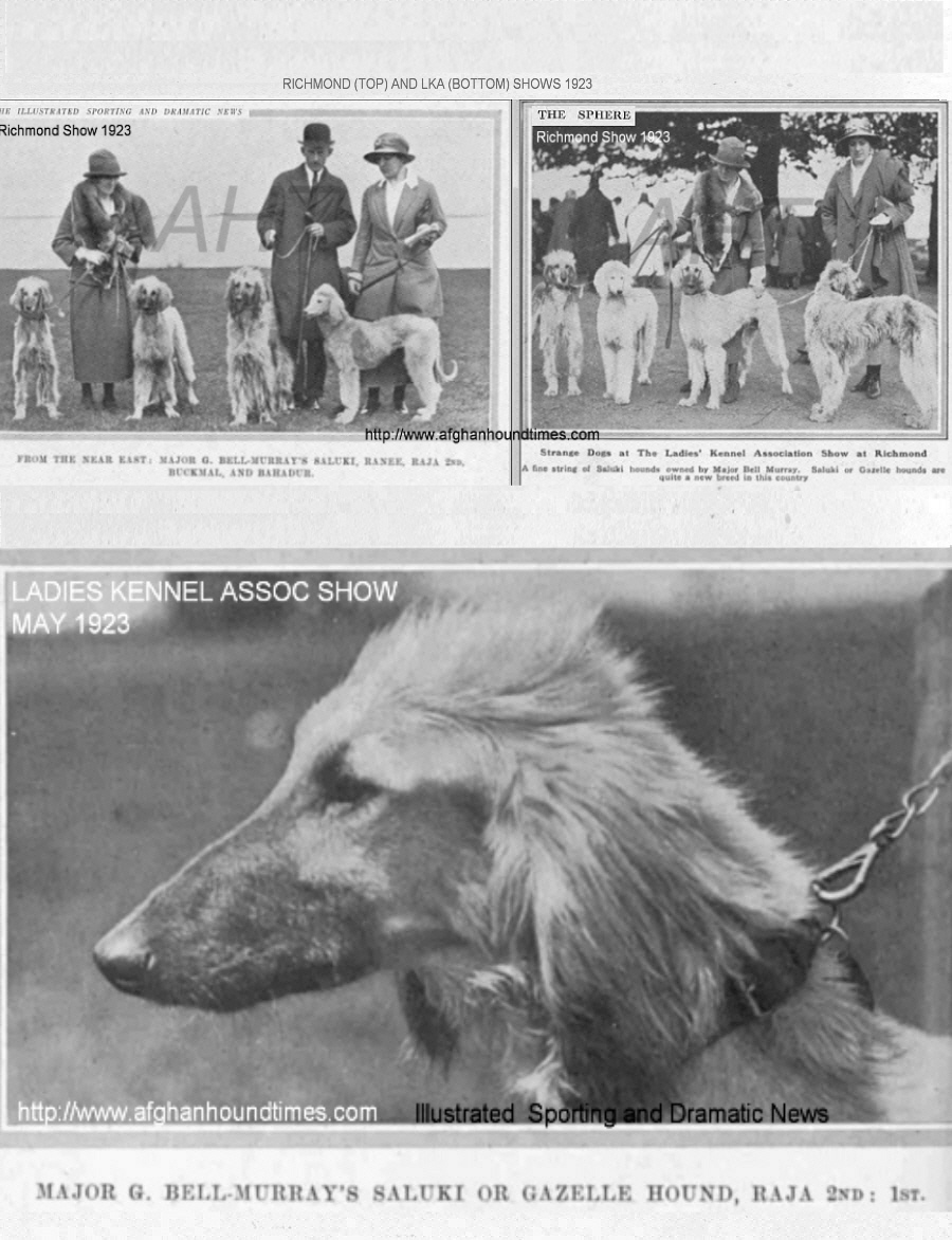 http://www.afghanhoundtimes.com Bell Murray/Cove Afghan photo gallery (The Sphere,  and the Illustrated Sporting  and Dramatic News 1923) 