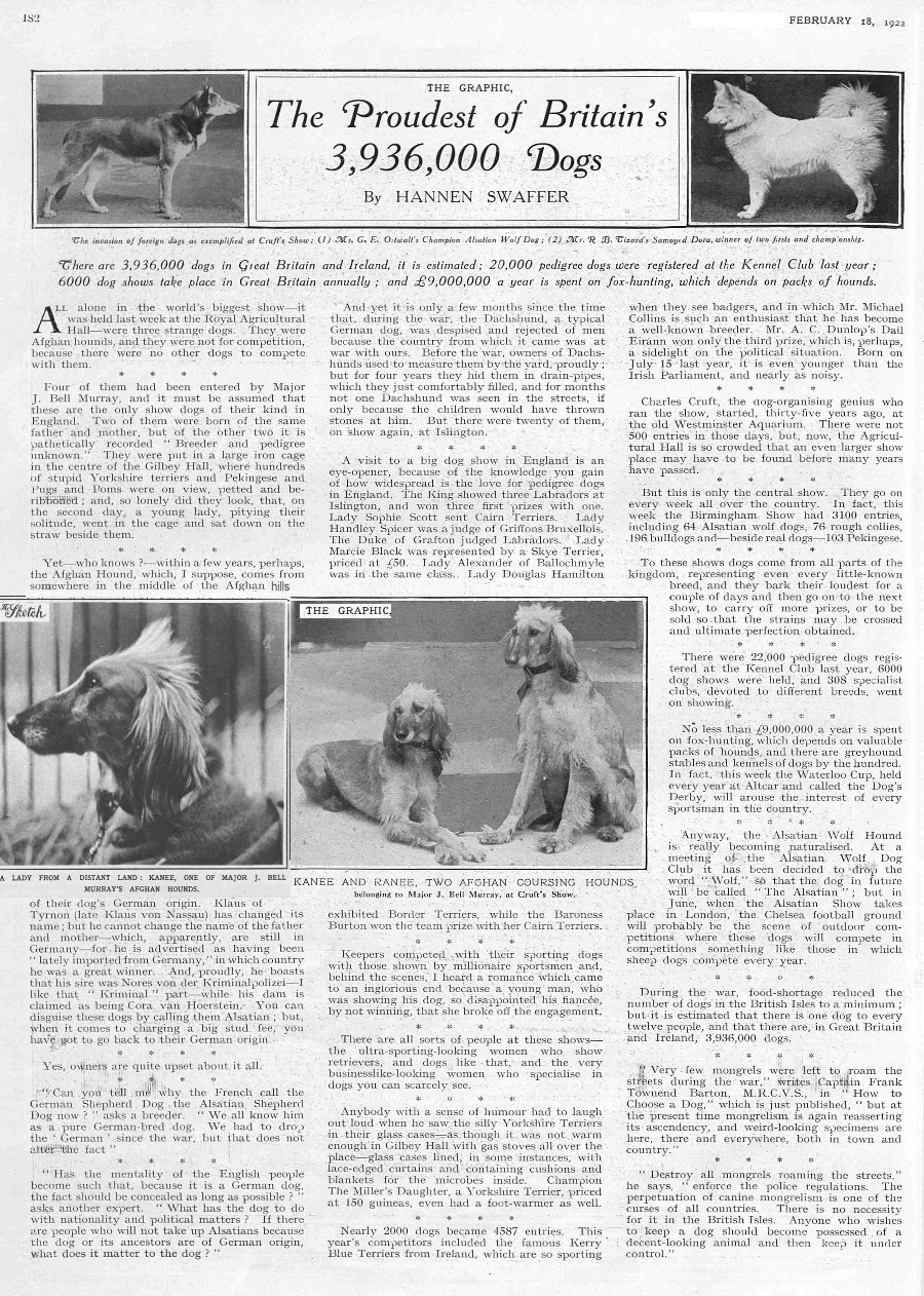 http://www.afghanhoundtimes.com Bell Murray/Cov/Kafe Afghan photo gallery (The Sphere,  and the Illustrated Sporting  and Dramatic News 1923) 