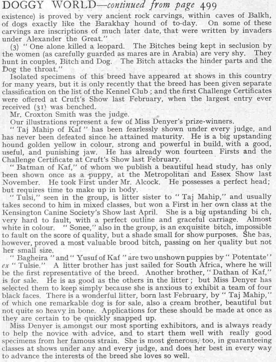 http://www.afghanhoundtimes.com Bell Murray/Cov/Kafe Afghan photo gallery (The Sphere,  and the Illustrated Sporting  and Dramatic News 1923) 