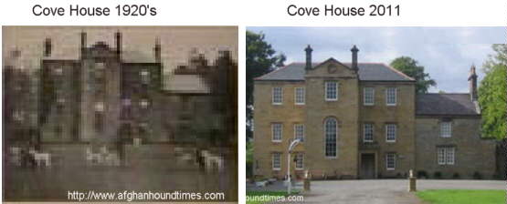 Cove House - Bell Murray Afghan Hounds