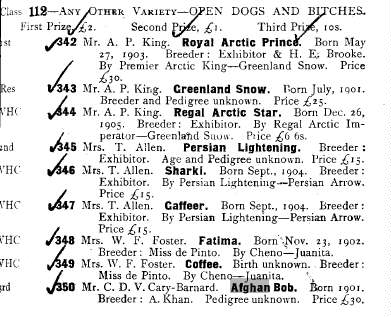 Early Afghan Hounds - Bob 1902