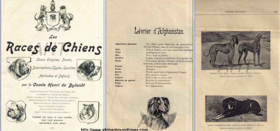 http://www.afghanhoundtimes.com RACES de CHIENS by Compte Henri Bylandt 1897 edition