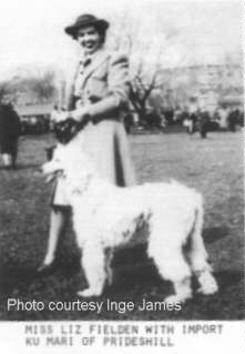 http://www.afghanhoundtimes.com Photo Ku Mari Of Prides Hill