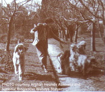 http://www.afghanhoundtimes.com CARLOWAY AFGHAN HOUNDS BY ALAN BROOKS (BONDOR)