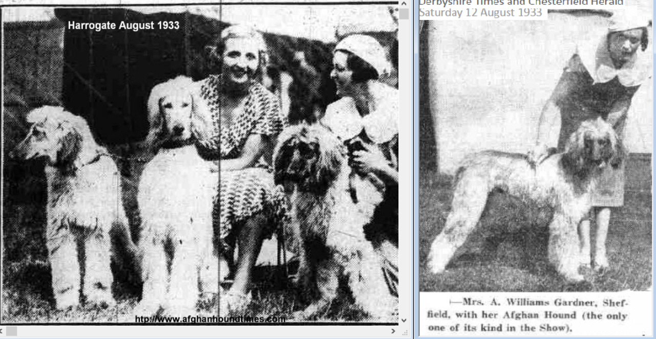http://www.afghanhoundtimes.com Photo Edna Carlton and Mrs Williams Gardner 1933