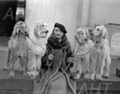 http://www.afghanhoundtimes.com PHOTO Edna Carlton and Hounds, Crystal Palace 1933
