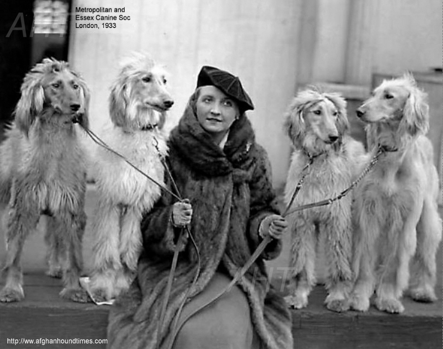 http://www.afghanhoundtimes.com PHOTO Edna Carlton and Hounds, Crystal Palace 1933