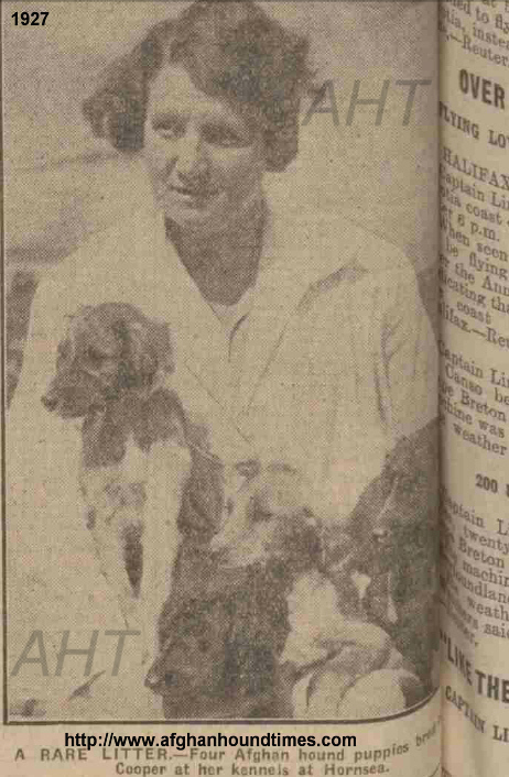 http://www.afghanhoundtimes.com PHOTO Mrs M B Cooper De Flandre Afghans UK 1927