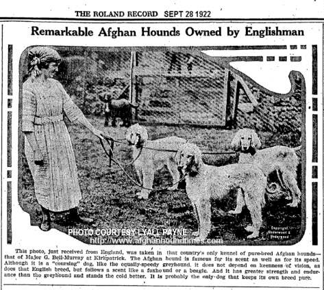 http://www.afghanhoundtimes.com Photo Ms Manson with some of her Cove Afghan Hound 1922