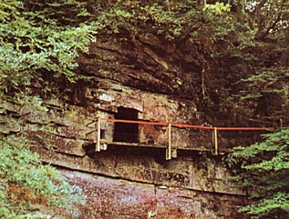 Robert The Bruce Cave - Cove, Bell Murray Afghan Hounds
