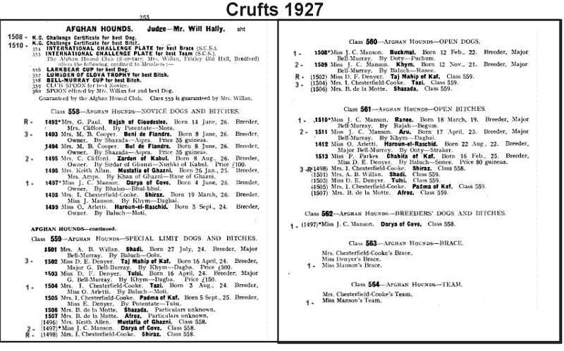 Afghan Hound Crufts 1927 Bell Murray vs Ghazni?