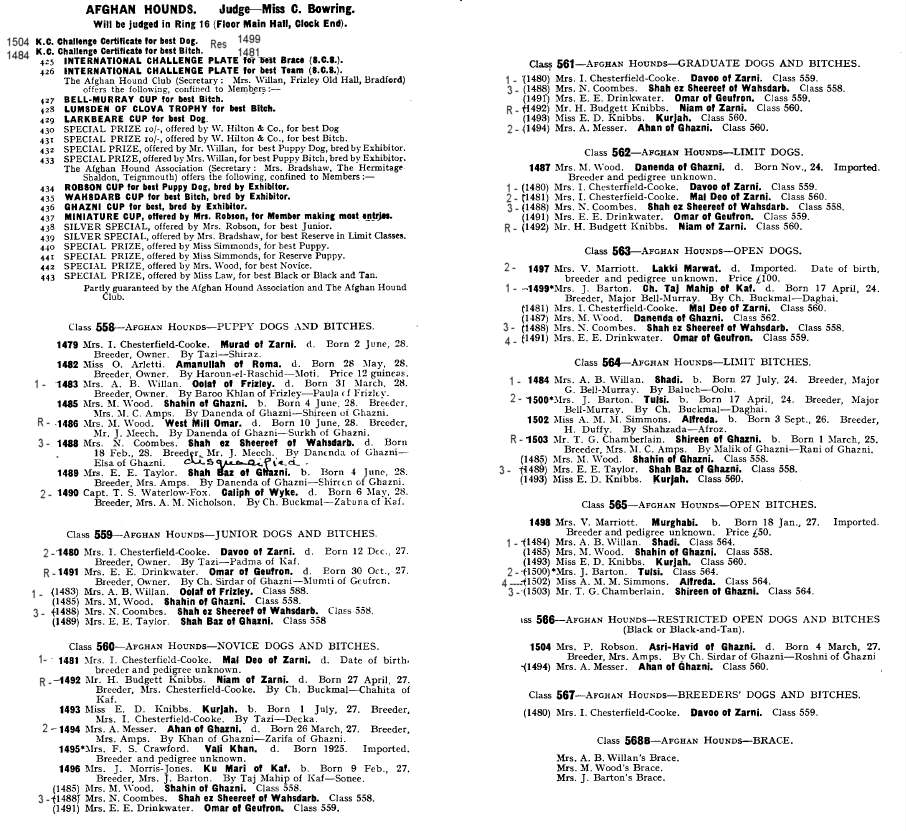 Early Afghan Hounds Crufts 1929