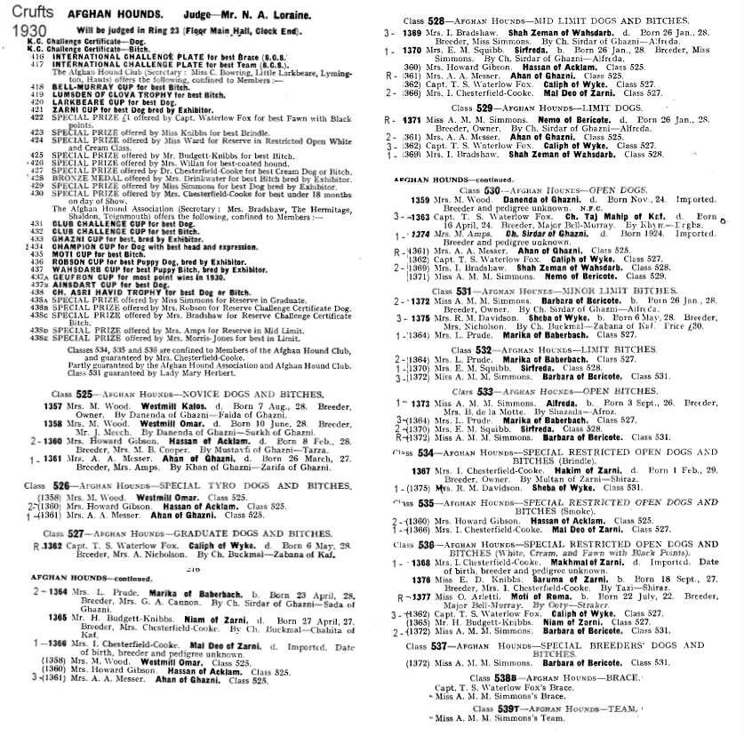 Early Afghan Hounds Crufts 1930