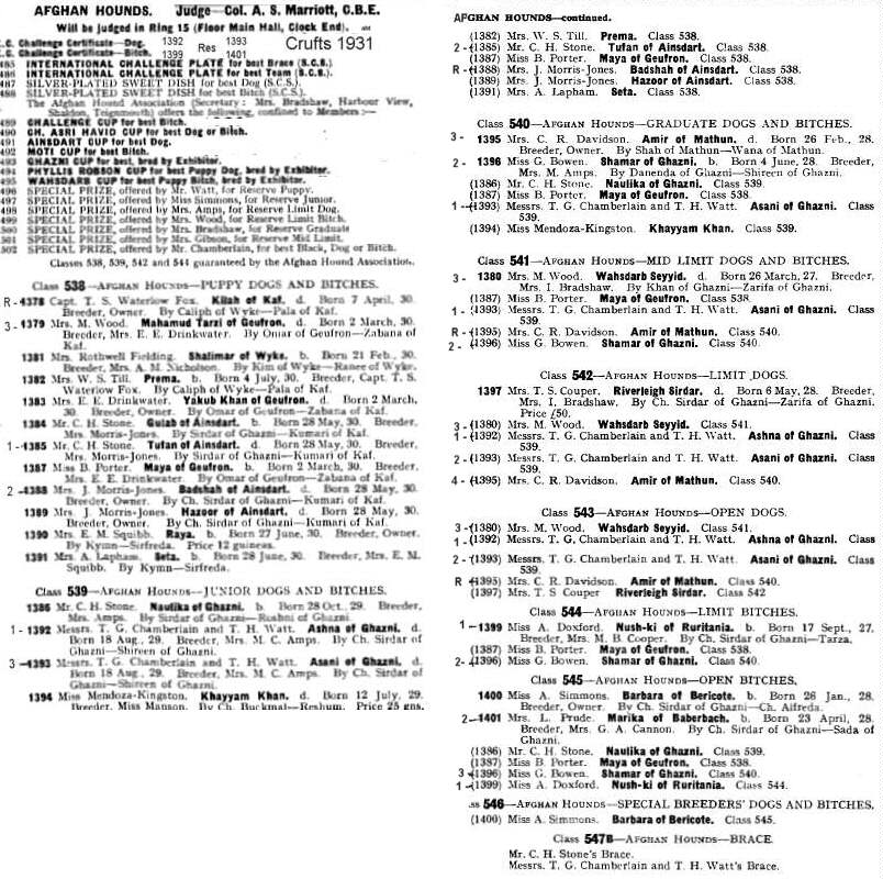 Early Afghan Hounds Crufts 1931