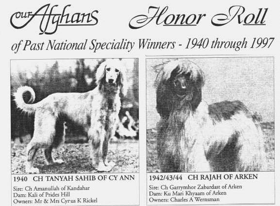 http://www.afghanhoundtimes.com PHOTO Ch Tanyah Sahib of Cyan0