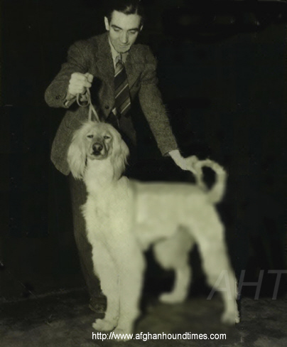 http://www.afghanhoundtimes.com PHOTO Ch Tanyah Sahib of Cyann 1940