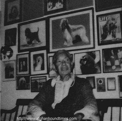 Afghan Hound Times photo = Reigh Abram (Dureigh) c 1980