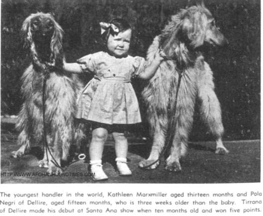 Afghan Hound Times Photo - Dellire and daughter