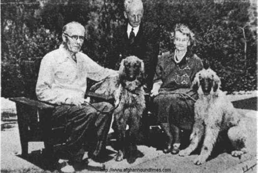 Afghan Hounjd Times - photo Dr Marxmiller and friends