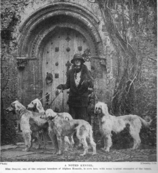 http://www.afghanhoundtimes.com Photo Denyer Hutchisons 1930's