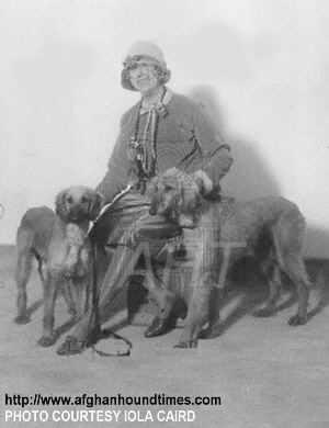 http://www.afghanhoundtimes.com - James and Grace Dignowity's (Bell Murray) Afghan Hounds WKC 1927