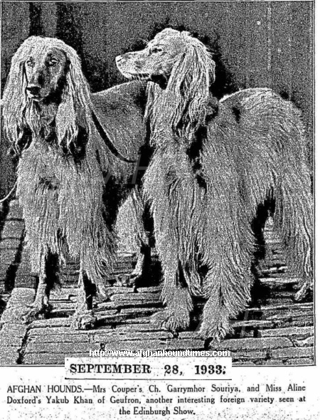 ttp://www.afghanhoundtimes.com PHOTO Mrs Couper's Ch Garrymhor Souriya and
Miss Doxford's Yakub Khan of Geufron 