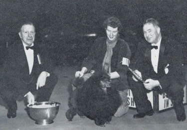 http://www.afghanhoundtimes.com PHOTO Clarence Dillons (Dunwalk) min poodle  Fontclair Festoon, BIS WKC 1959 handled by Anne Rogers Clark
